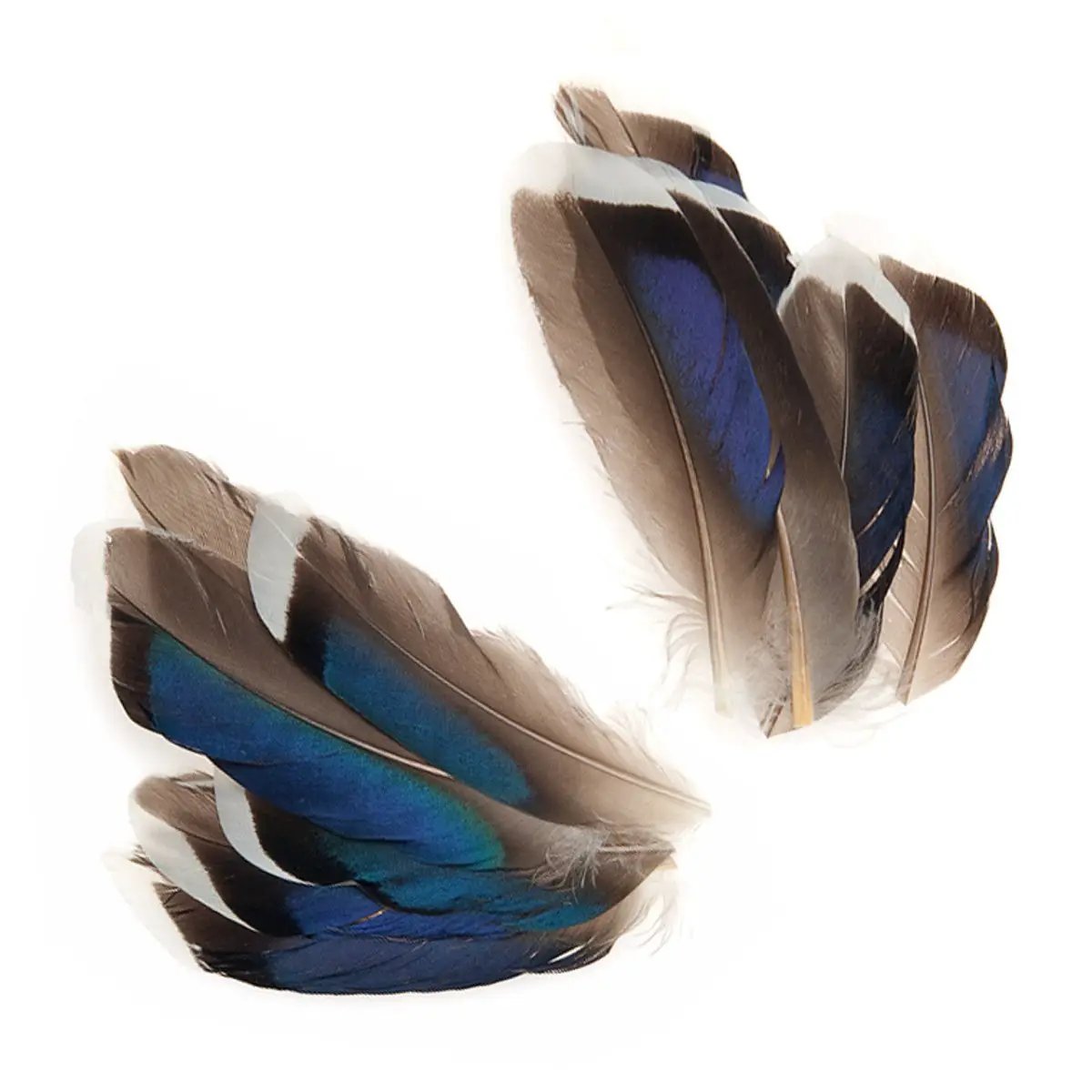 Mallard Mcginty Quills by Hareline Dubbin