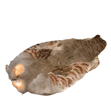 Pen Raised #1 Hungarian Partridge Skin With Wings by Hareline Dubbin