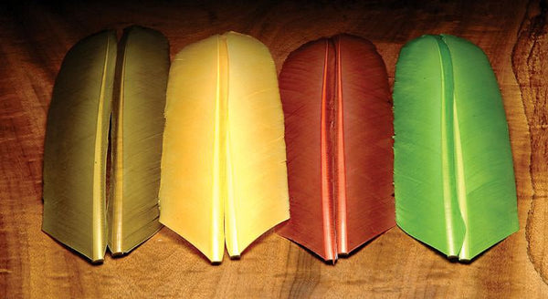 Turkey Biots Turkey Biots