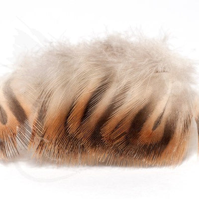 Hen Mallard Belly Feathers - Feather Craft Fly Fishing