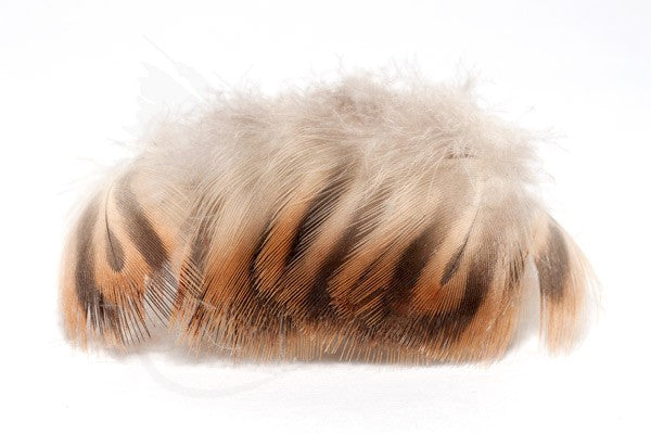 Hen Mallard Belly Feathers - Feather Craft Fly Fishing