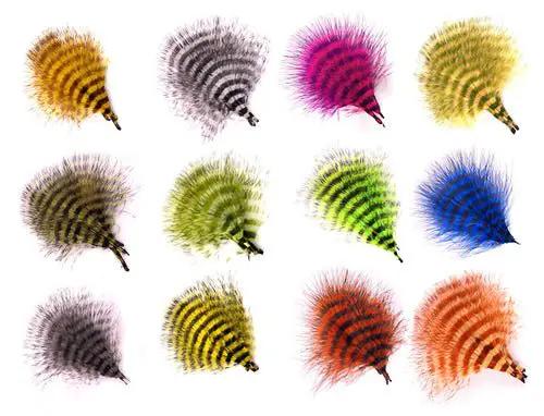 MFC Barred Marabou by MFC