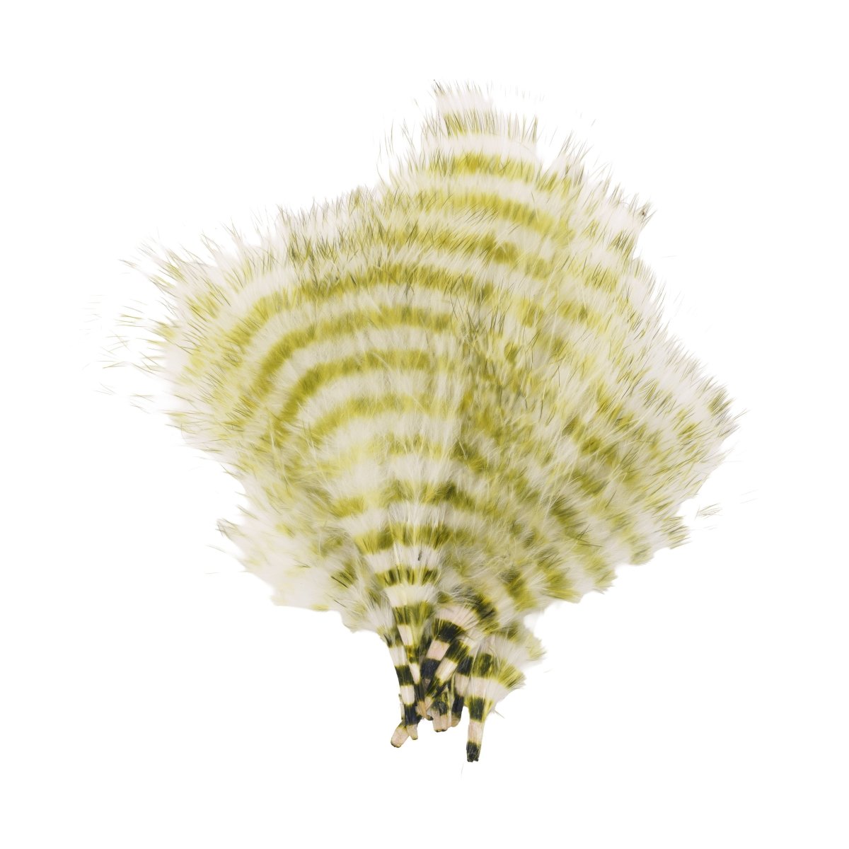 MFC - MFC Barred Marabou - Feather Craft Fly Fishing