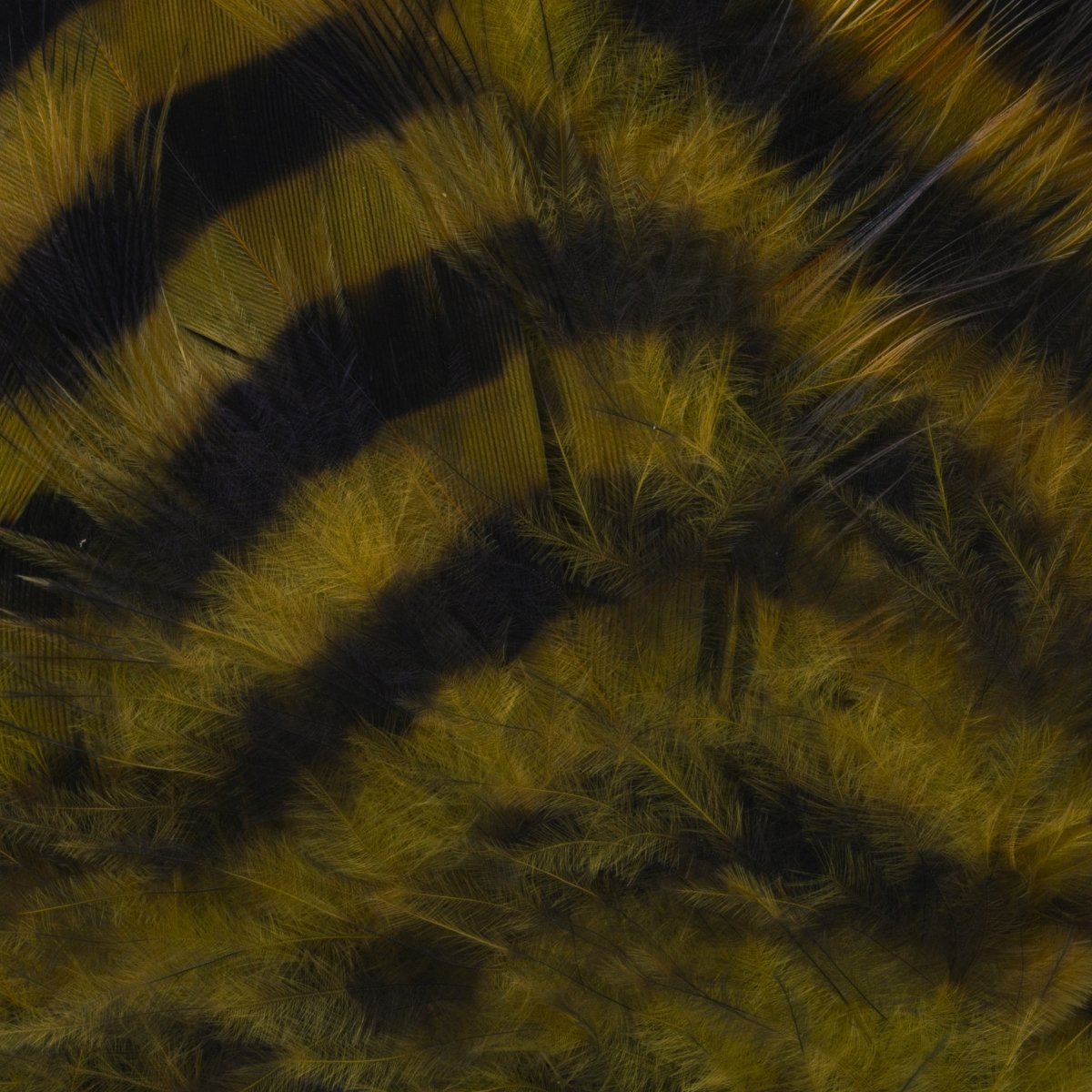 MFC - MFC Barred Schlappen - Feather Craft Fly Fishing