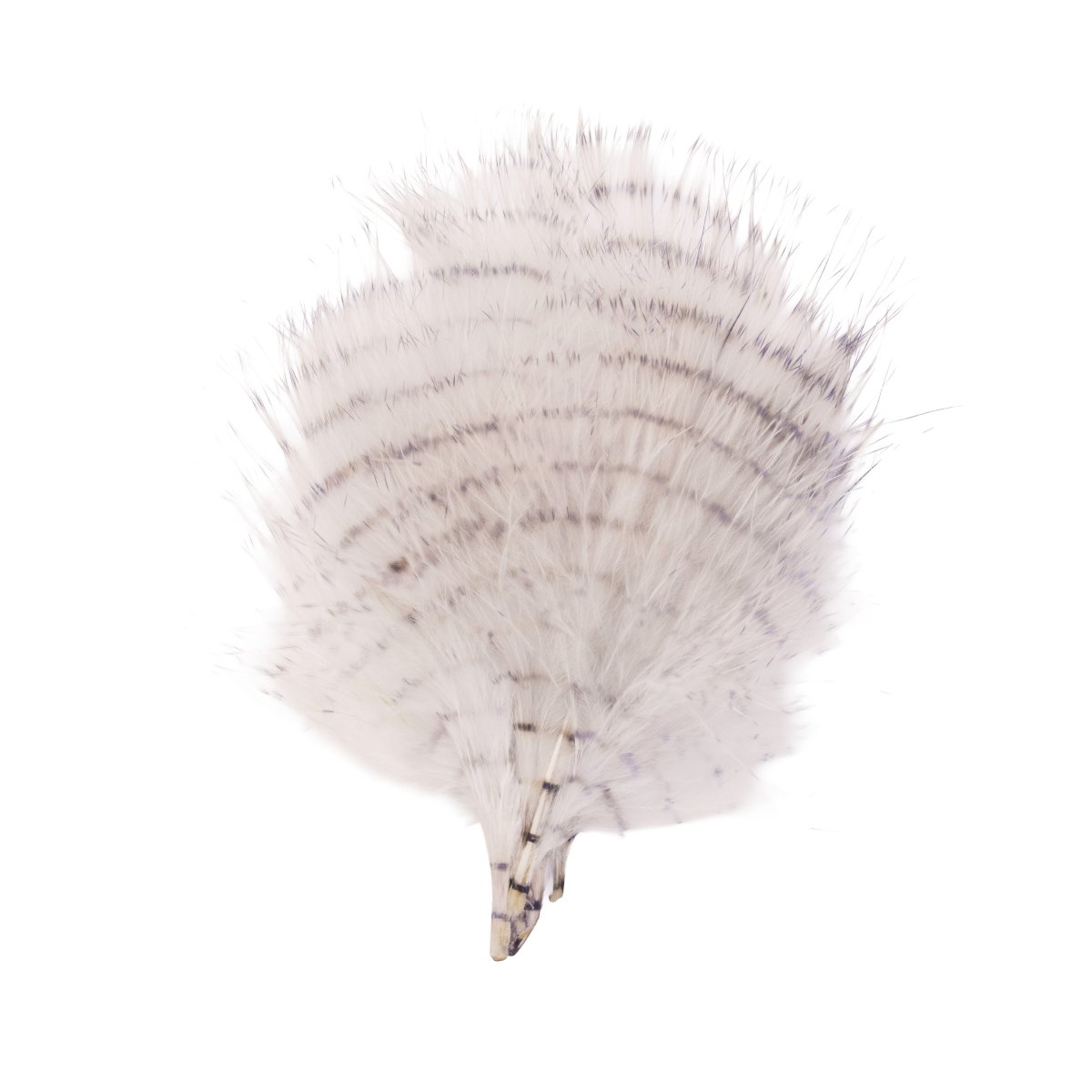 MFC - MFC Fine Barred Marabou - Feather Craft Fly Fishing