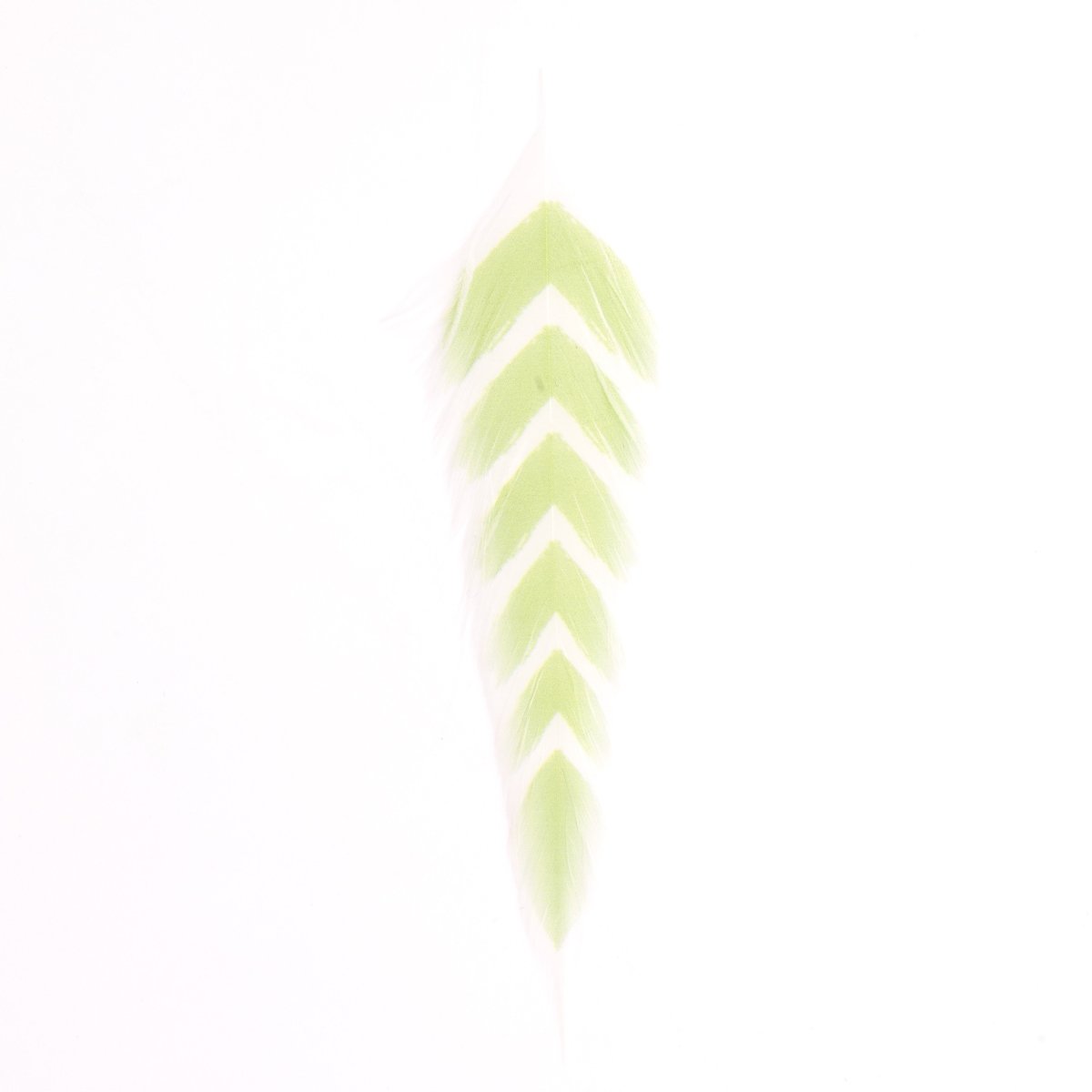MFC - MFC Galloup's Fish Feathers - Arrowhead - Feather Craft Fly Fishing