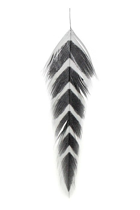 MFC - MFC Galloup's Fish Feathers - Arrowhead - Feather Craft Fly Fishing