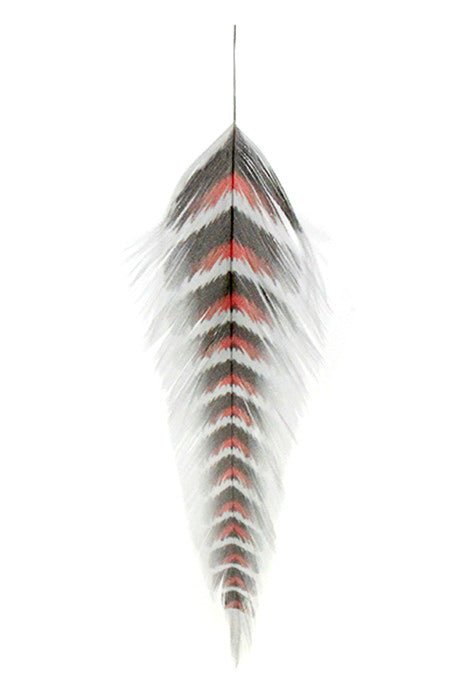 MFC - Mfc Galloups Fish Feathers - Grizzled - Feather Craft Fly Fishing