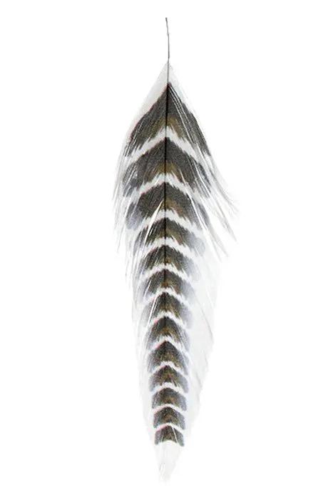 Mfc Galloups Fish Feathers - Grizzled by MFC