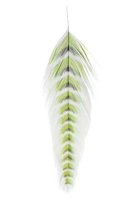 Mfc Galloups Fish Feathers - Grizzled by MFC