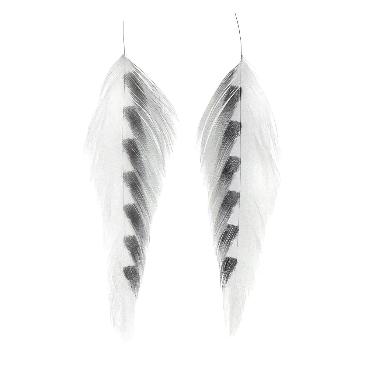 MFC - MFC Galloup's Fish Feathers - Shark Fin - Feather Craft Fly Fishing