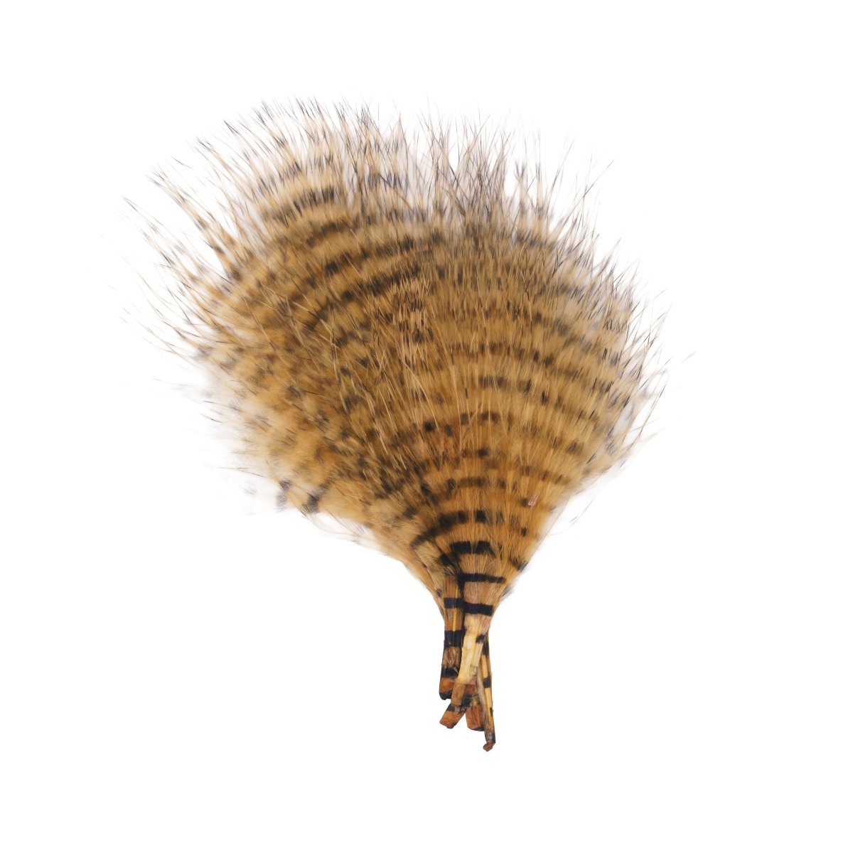 MFC - MFC Mini Barred Marabou - Feather Craft Fly Fishing