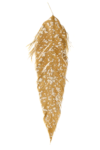 MFC - MFC Mottled Schlappen - Feather Craft Fly Fishing