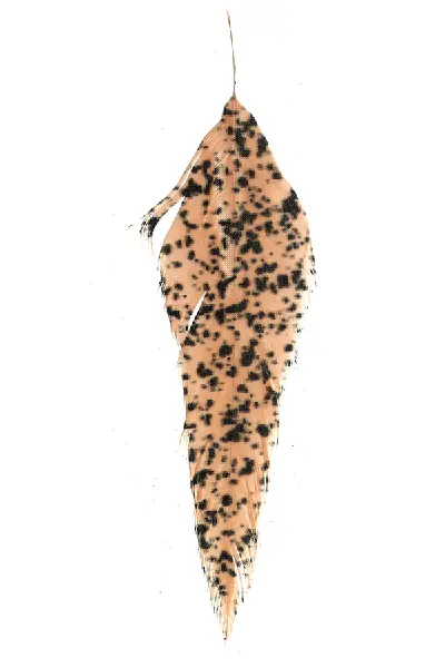 MFC Mottled Schlappen by MFC