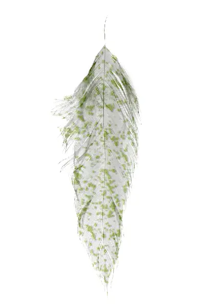 MFC Mottled Schlappen by MFC