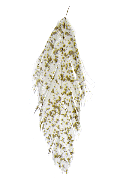 MFC - MFC Mottled Schlappen - Feather Craft Fly Fishing