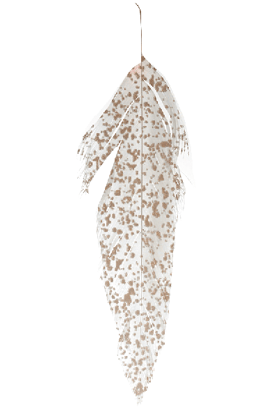 MFC - MFC Mottled Schlappen - Feather Craft Fly Fishing