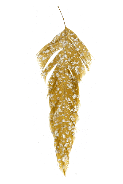 MFC - MFC Mottled Schlappen - Feather Craft Fly Fishing
