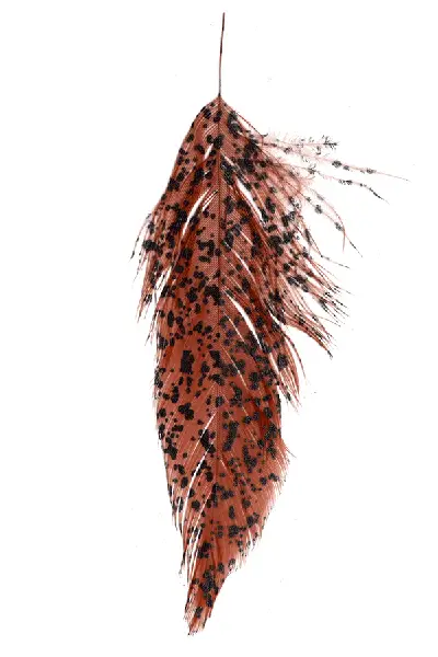 MFC Mottled Schlappen by MFC