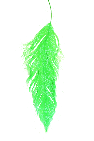 MFC - MFC Mottled Schlappen - Feather Craft Fly Fishing