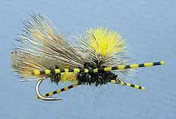 MFC Speckled Centipede Legs - Barred by MFC