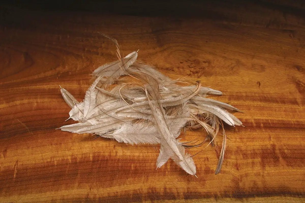 Emu Feathers by Natures Spirit