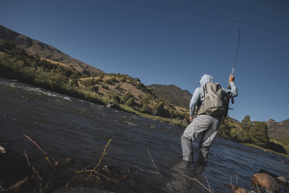 Orvis - Orvis Helios Fly Rod Series - Feather Craft Fly Fishing