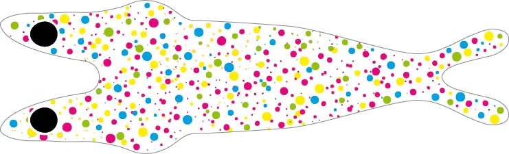 PRO Sportfisher - Pro 3 - D Shrimp Shells - Feather Craft Fly Fishing