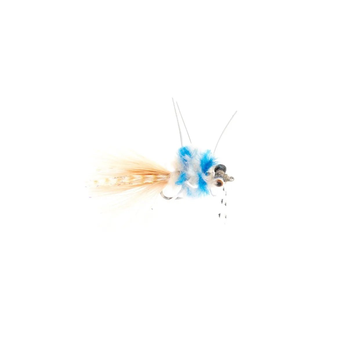 Blue Crab by Rainys