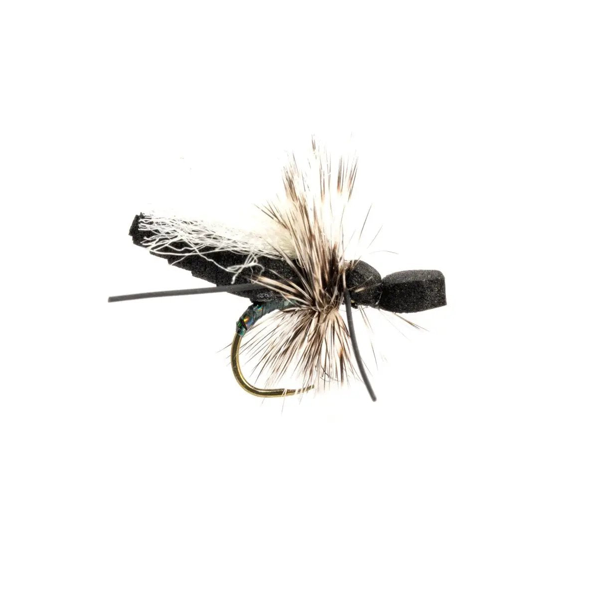Hegans Ant by Rainys