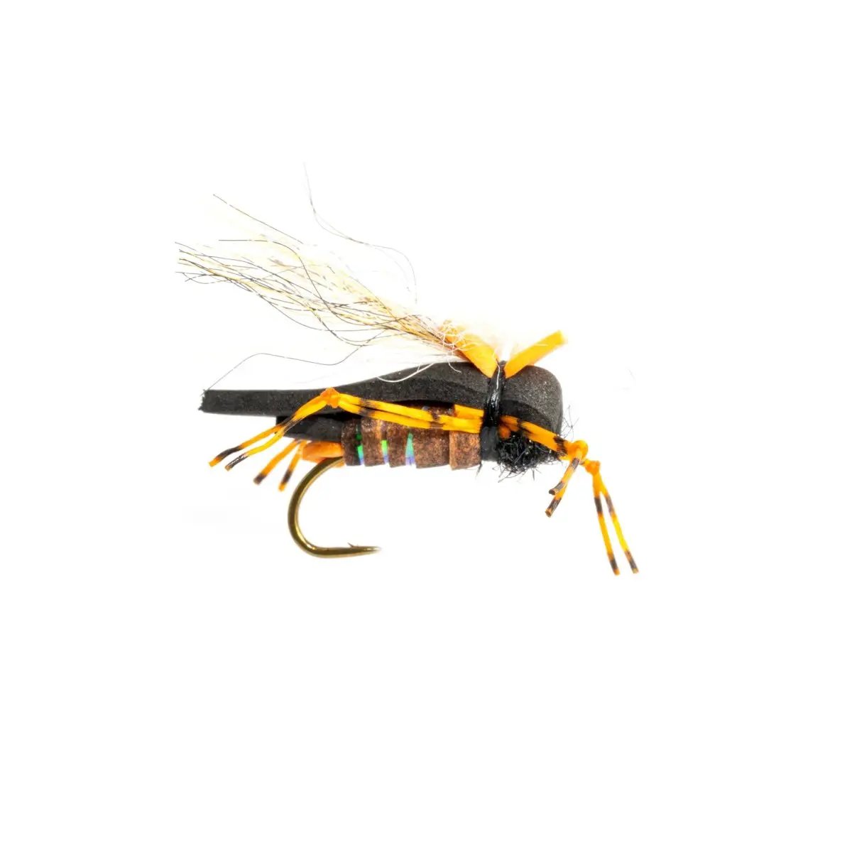 Masons Hipster Doofus Cicada by Rainys