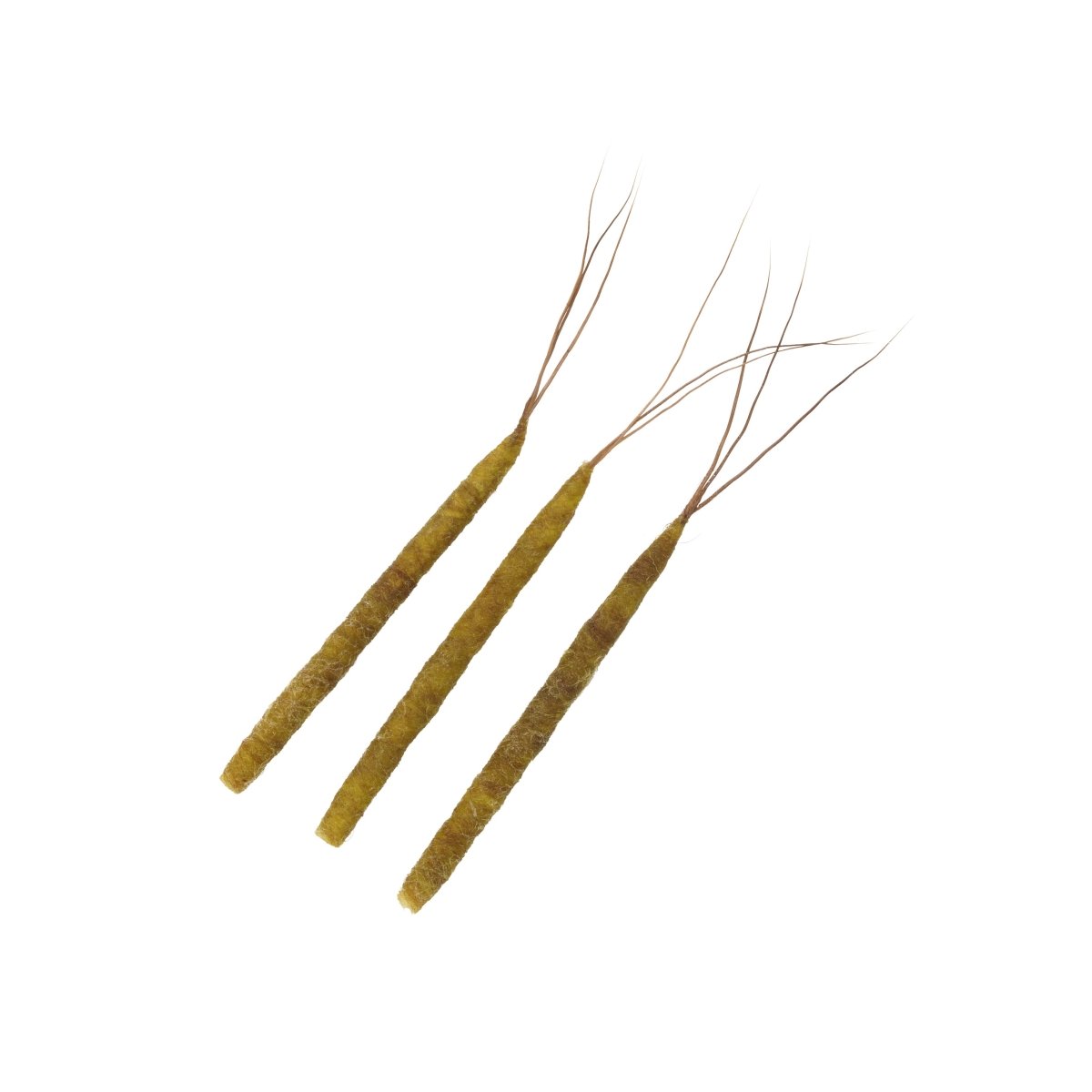 Rainys - Rainy's Tube Bodiz - Hex Mayfly - Feather Craft Fly Fishing
