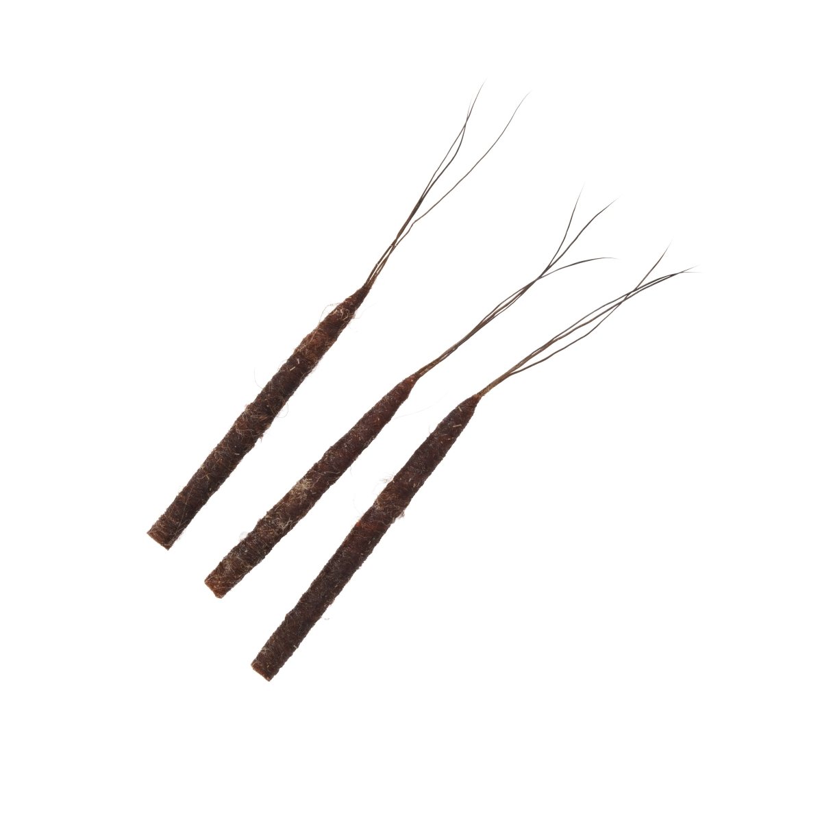 Rainys - Rainy's Tube Bodiz - Hex Mayfly - Feather Craft Fly Fishing