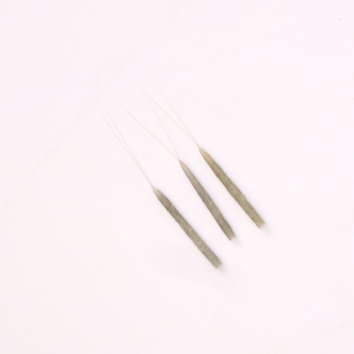Rainys - Rainy's Tube Bodiz - Mayfly - Feather Craft Fly Fishing