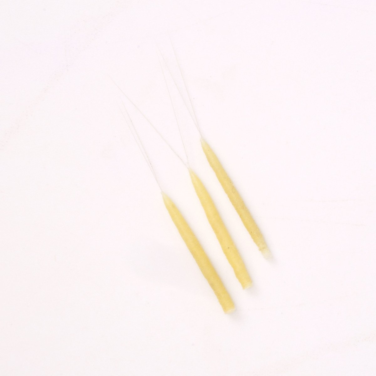 Rainys - Rainy's Tube Bodiz - Mayfly - Feather Craft Fly Fishing