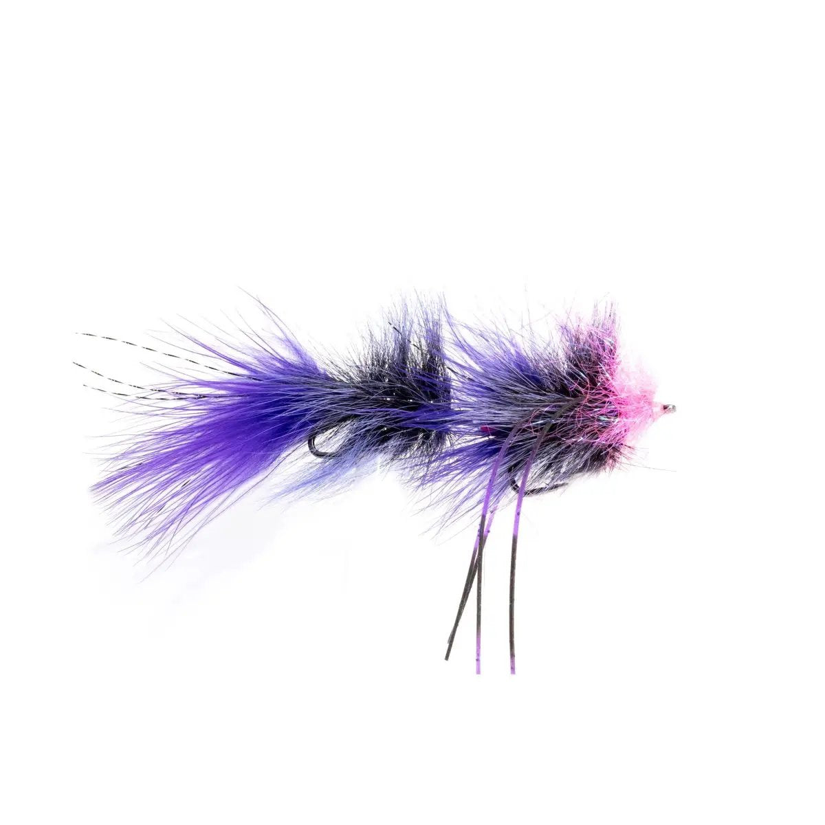 Satkowskis Articuleech by Rainys