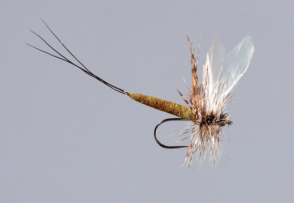 Rainys - Tube Bodiz: Hex Mayfly - Feather Craft Fly Fishing