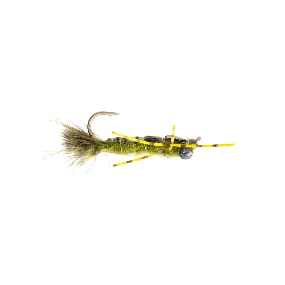 Whitlock'S Dragonfly Nymph by Rainys
