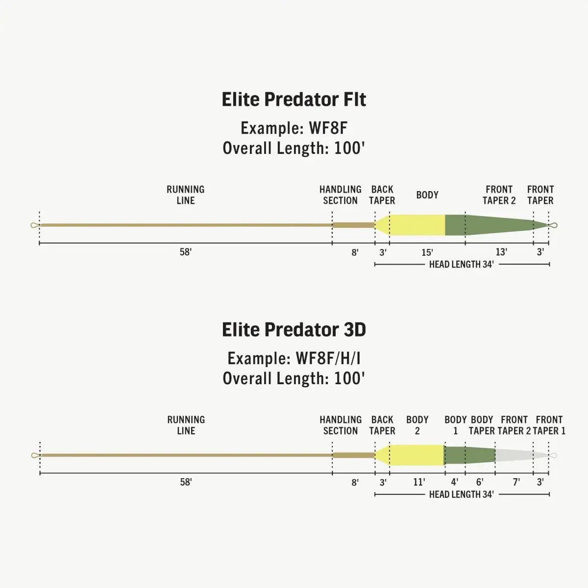 Rio Elite Predator Sink-Tip Fly Line - Floating/Type-5/Type-7 Sink by Rio