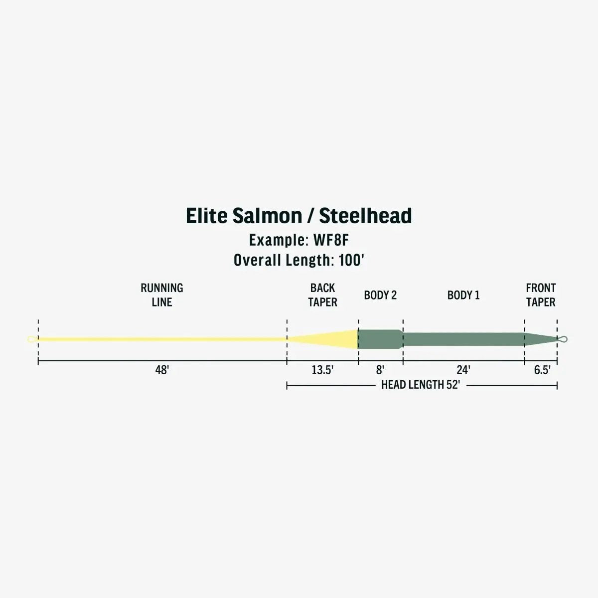 Rio Elite Salmon/Steelhead Fly Line by Rio