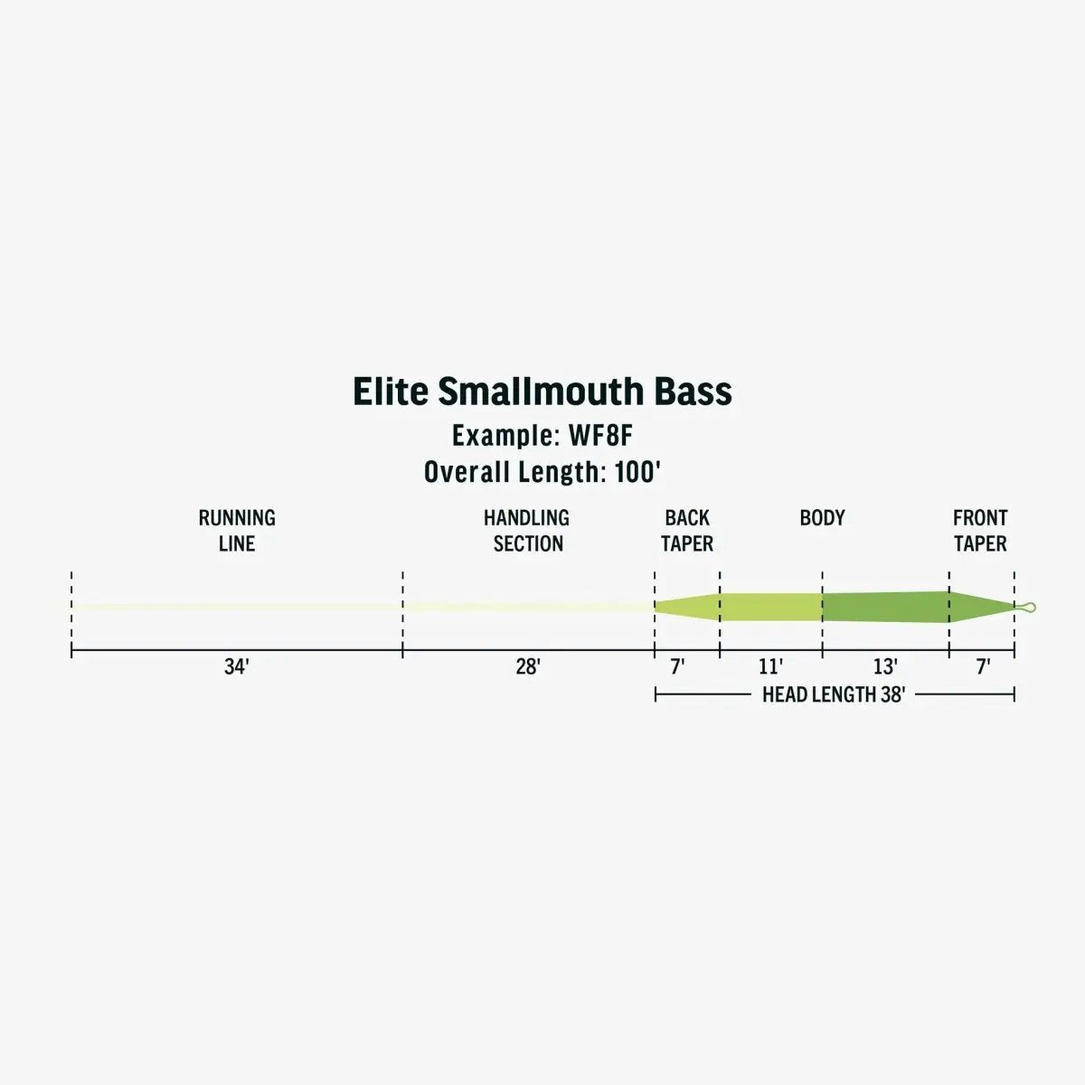 Rio Elite Smallmouth Bass Fly Line by Rio
