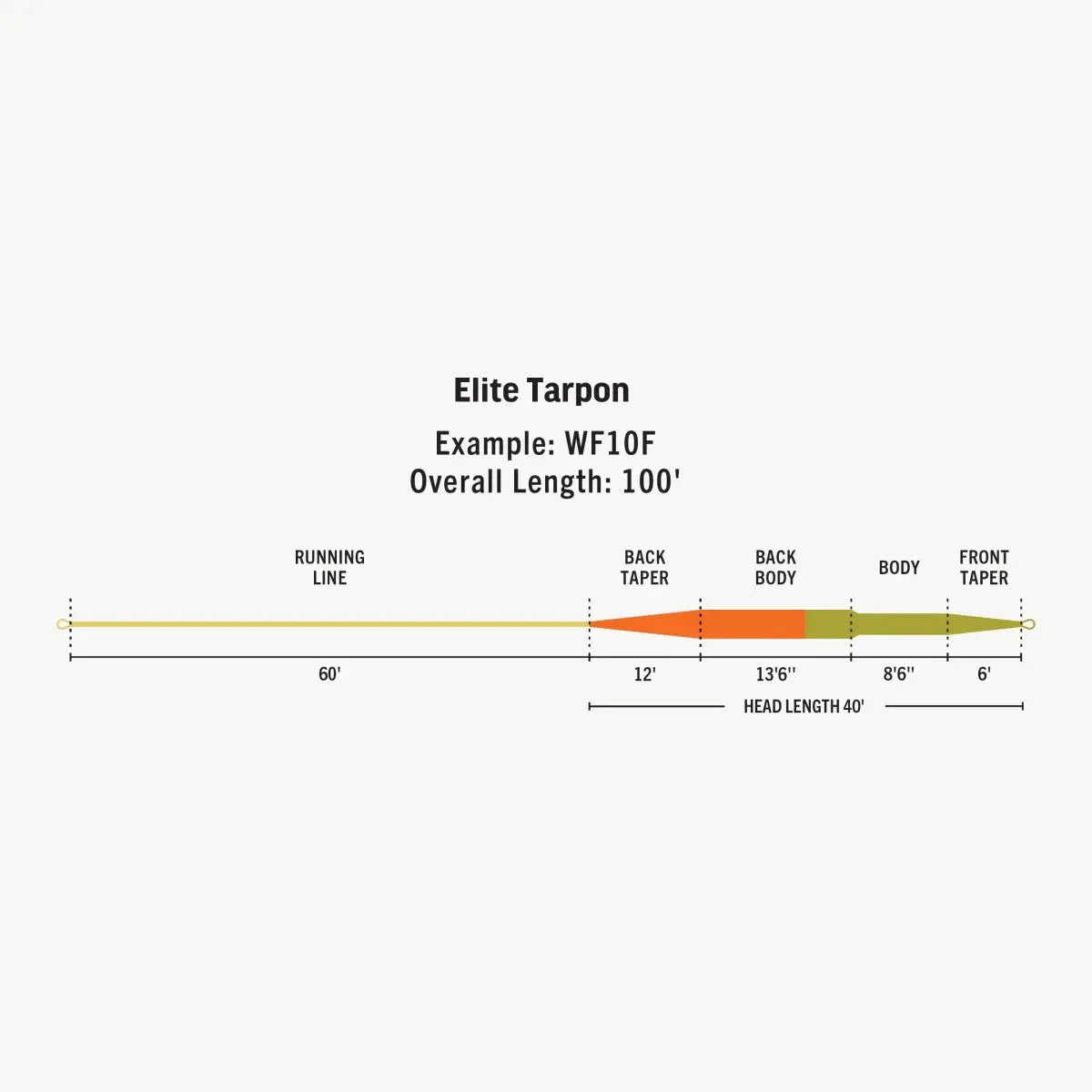 Rio Elite Tarpon Floating Fly Line by Rio