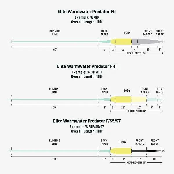 Rio Elite Warmwater Predator Sinking Fly Line by Rio
