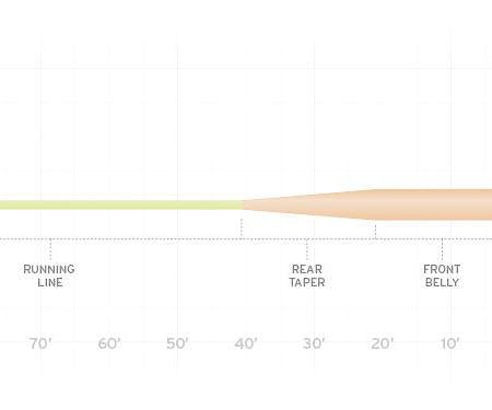Scientific Anglers - Scientific Anglers Amplitude Smooth Grand Slam Taper Floating Fly Line - Feather Craft Fly Fishing