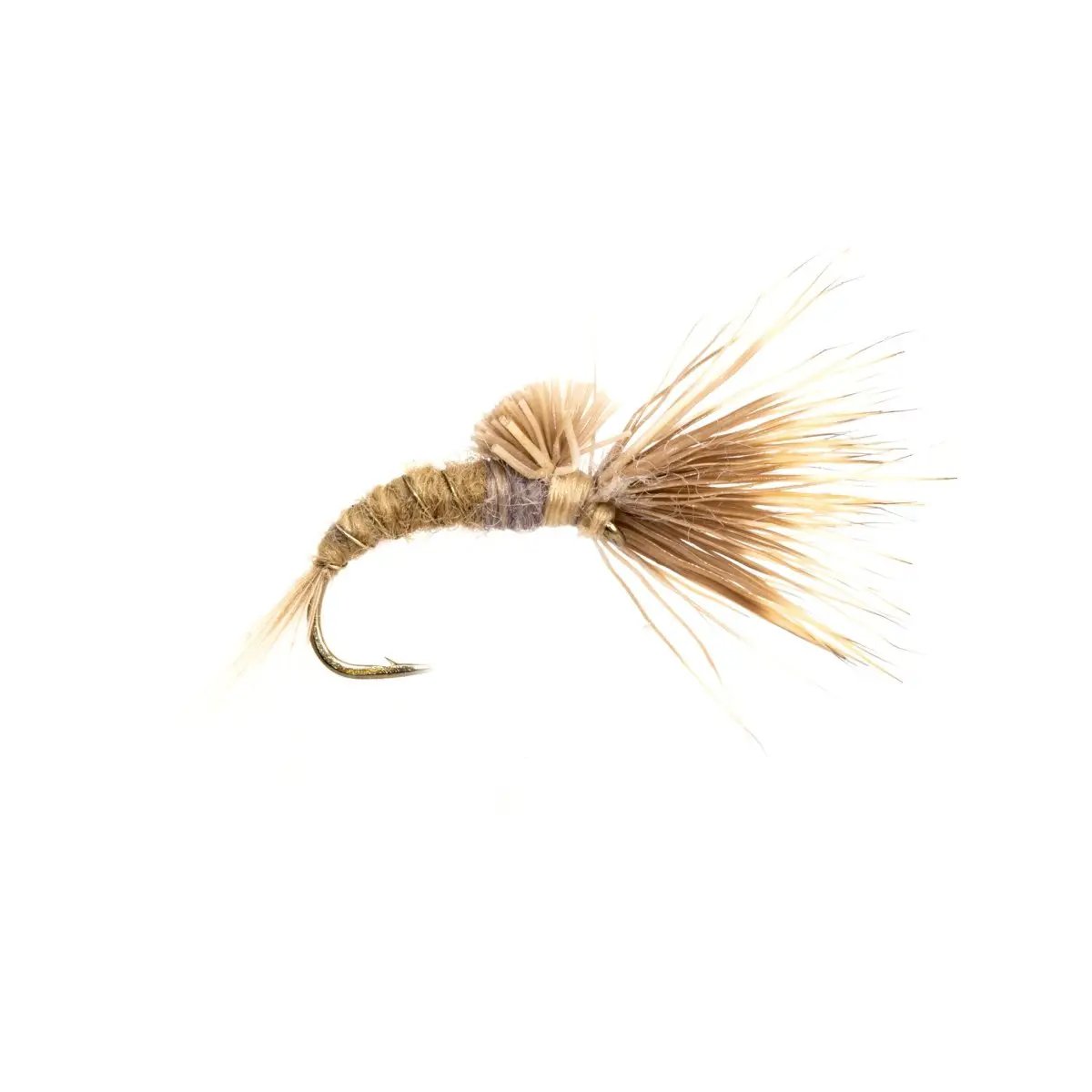 Morris May Emerger - Callibaetis by Solitude Flies