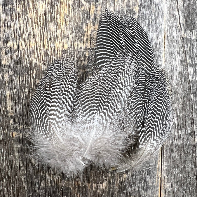 Greenwing Teal Flank - Feather Craft Fly Fishing