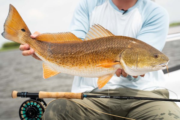 Temple Fork Outfitters - TFO Moment Saltwater Series Fly Rods - Feather Craft Fly Fishing