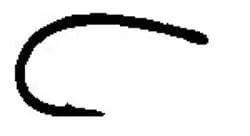 Tmc 2488 Emerger Hook by Tiemco