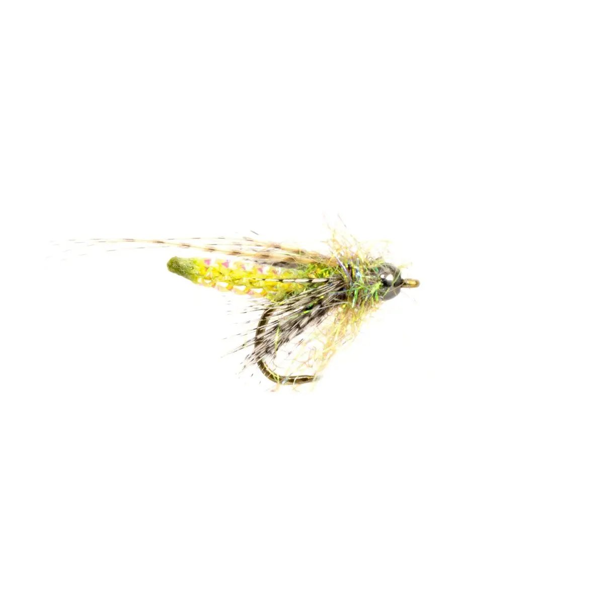 Nitro Caddis Pupa by Umpqua