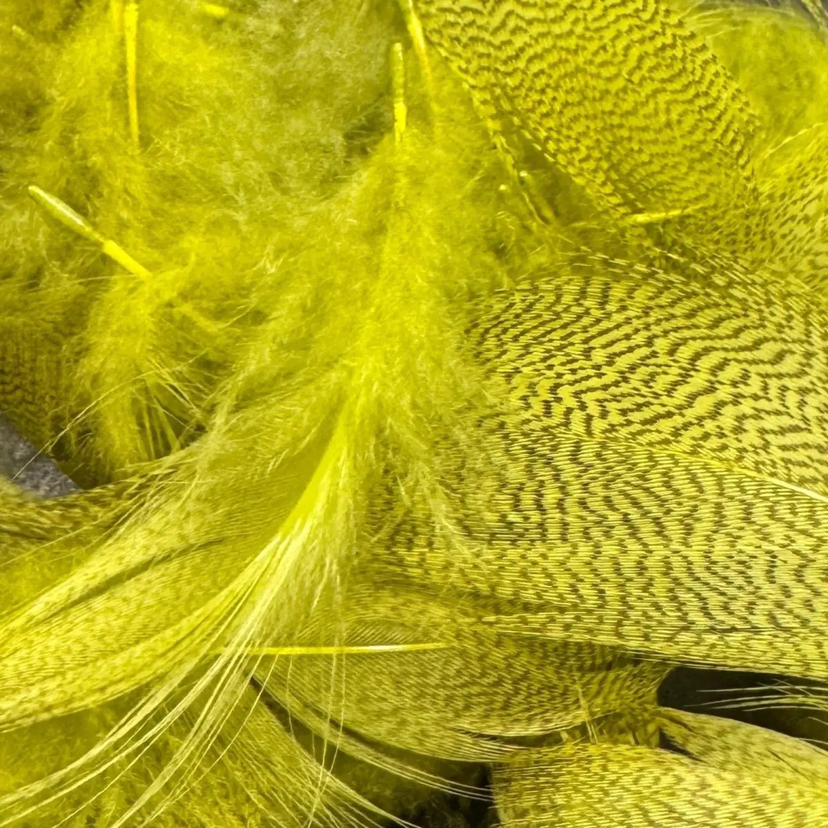Dyed Mallard Flank by Hareline Dubbin